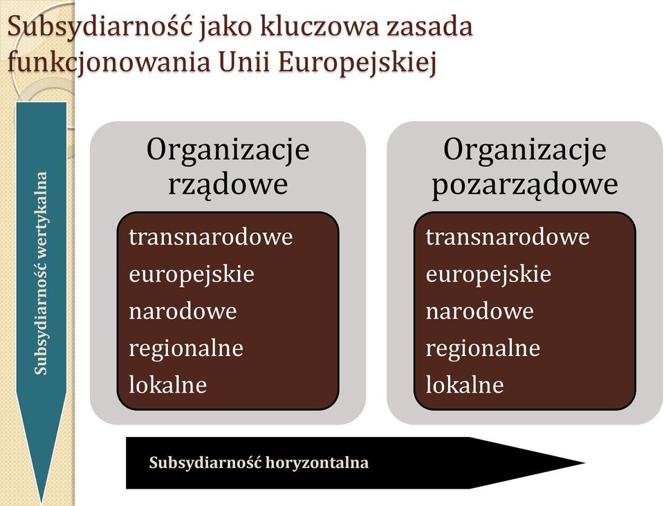 pozarządowe transnarodowe europejskie narodowe regionalne lokalne