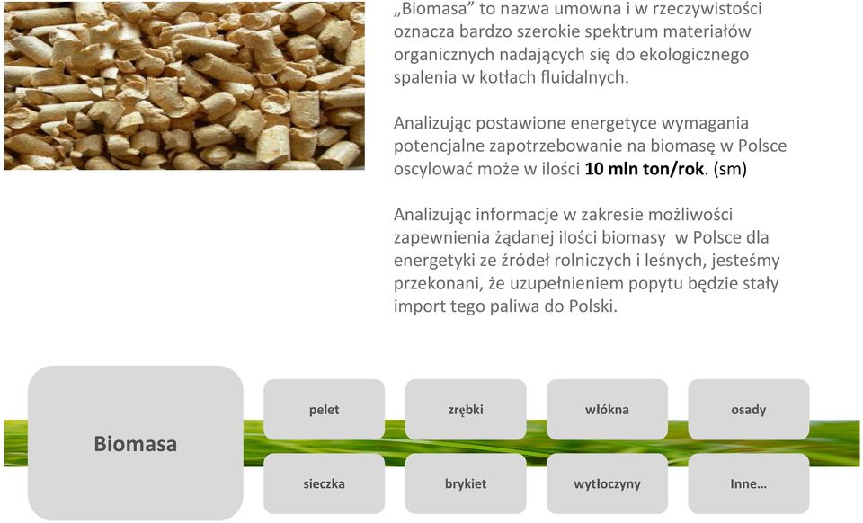 Analizując postawione energetyce wymagania potencjalne zapotrzebowanie na biomasę w Polsce oscylować może w ilości 10 mln ton/rok.