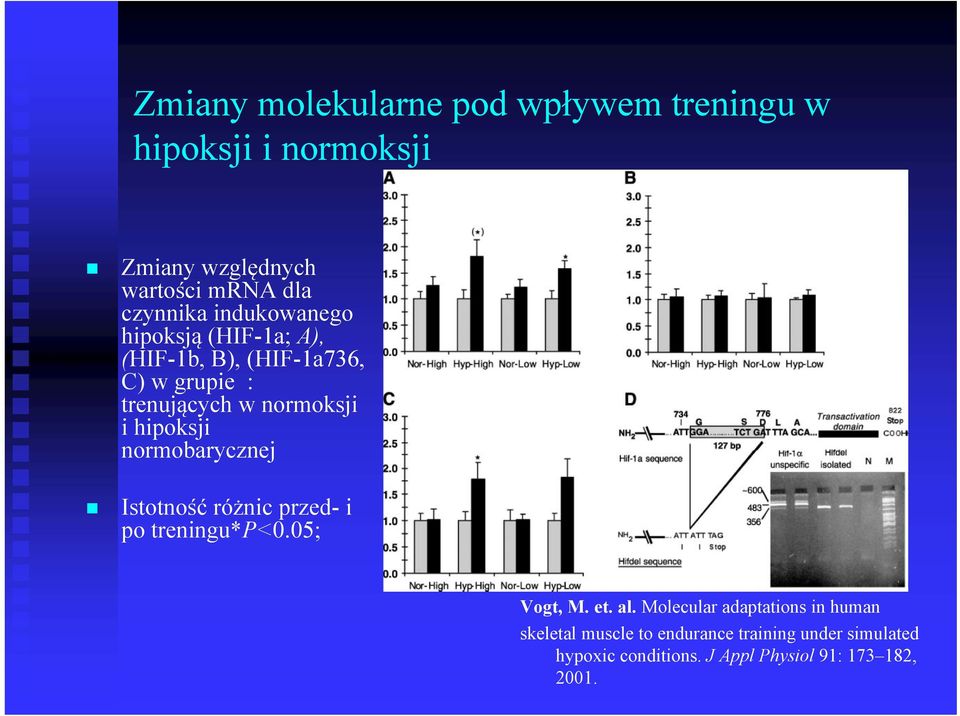 normobarycznej Istotność różnic przed- i po treningu*p<0.05; Vogt, M. et. al.
