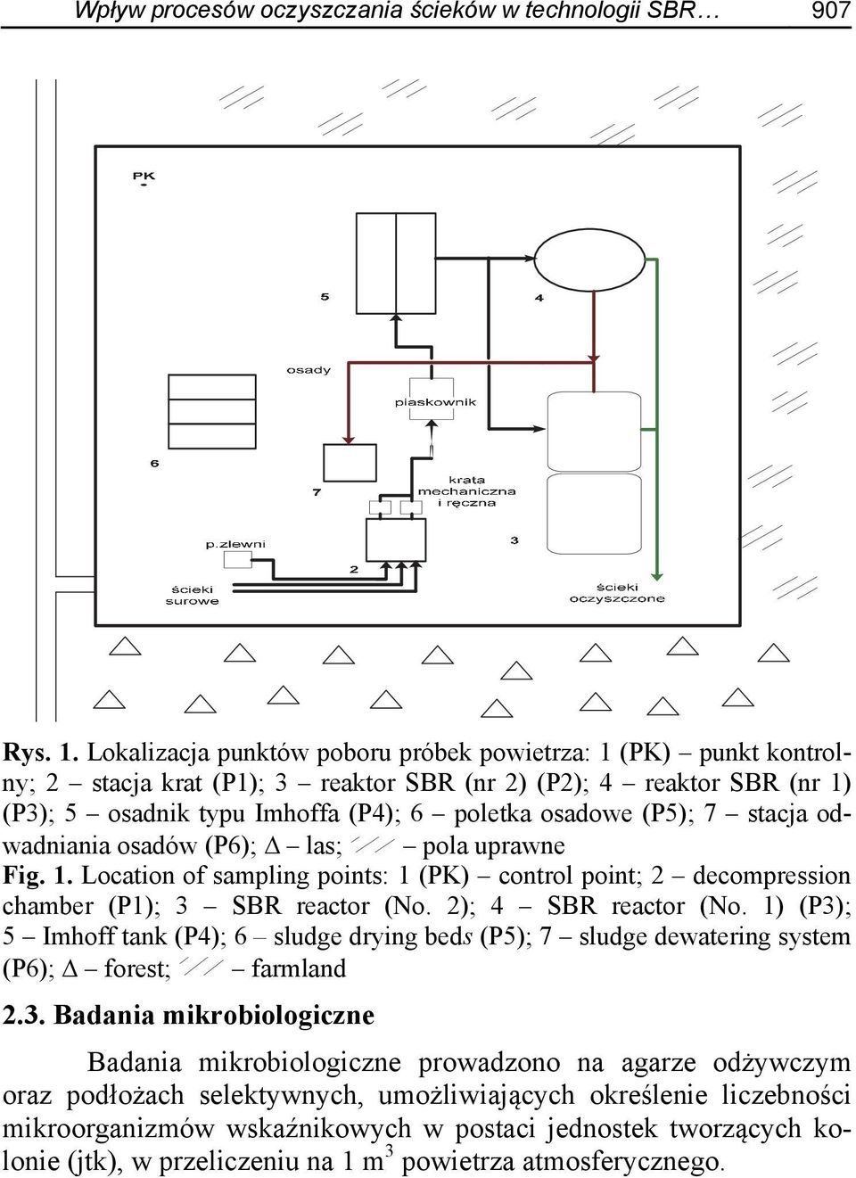 stacja odwadniania osadów (P6); las; pola uprawne Fig. 1. Location of sampling points: 1 (PK) control point; 2 decompression chamber (P1); 3 SBR reactor (No. 2); 4 SBR reactor (No.