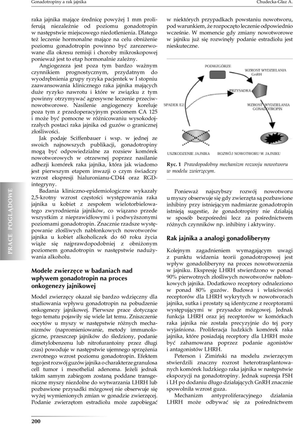 Angiogezeza jest poza tym bardzo ważnym czynnikiem prognostycznym, przydatnym do wyodrębnienia grupy ryzyka pacjentek w I stopniu zaawansowania klinicznego raka jajnika mających duże ryzyko nawrotu i