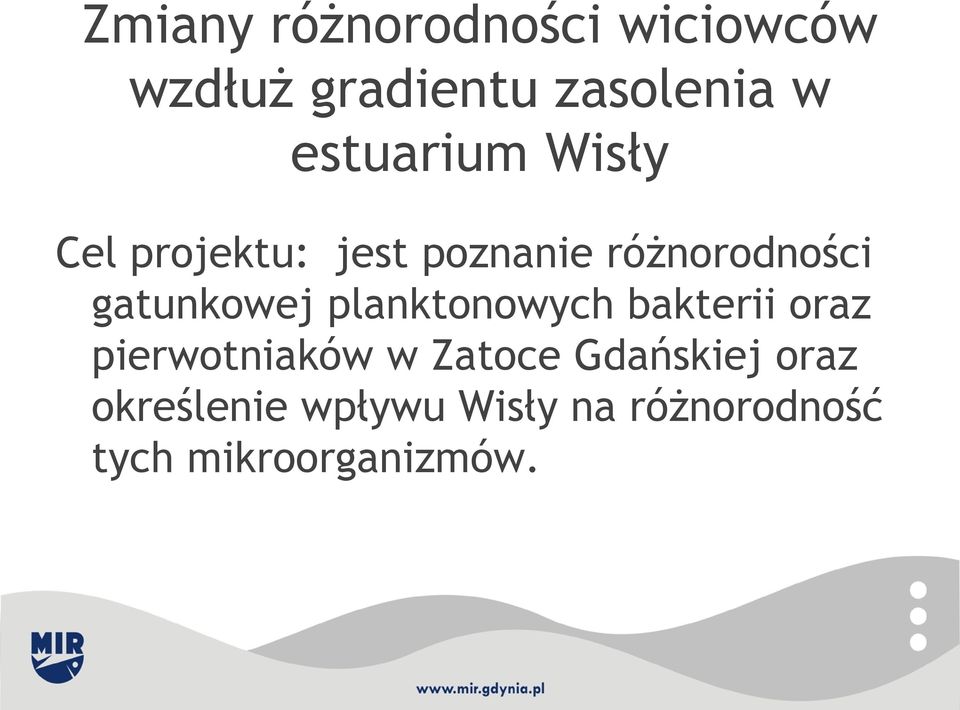 gatunkowej planktonowych bakterii oraz pierwotniaków w Zatoce