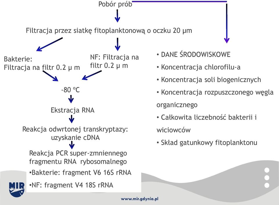 rybosomalnego Bakterie: fragment V6 16S rrna NF: fragment V4 18S rrna NF: Filtracja na filtr 0.