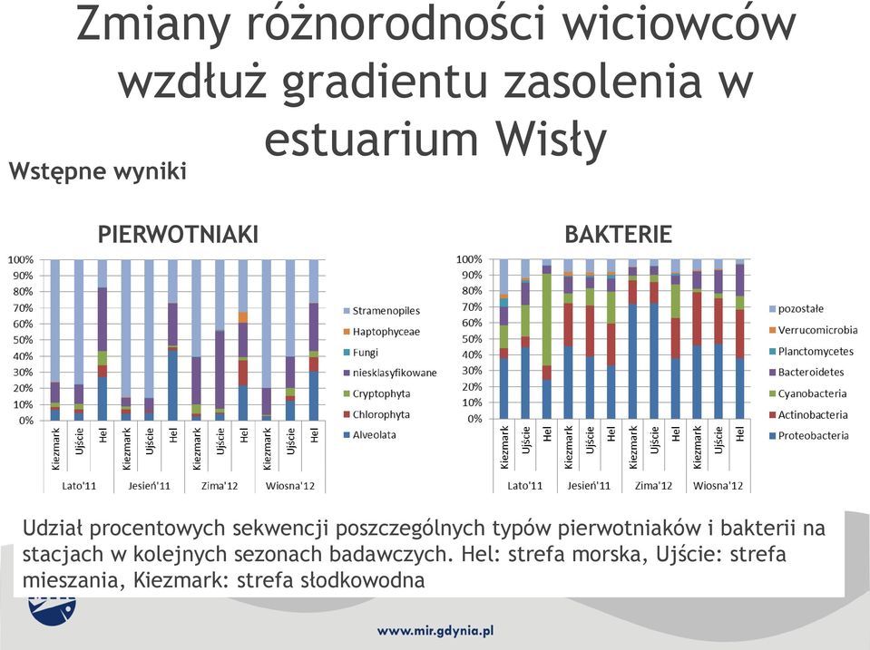 poszczególnych typów pierwotniaków i bakterii na stacjach w kolejnych