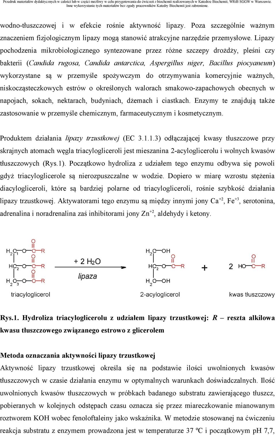 przemyśle spożywczym do otrzymywania komercyjnie ważnych, niskocząsteczkowych estrów o określonych walorach smakowo-zapachowych obecnych w napojach, sokach, nektarach, budyniach, dżemach i ciastkach.