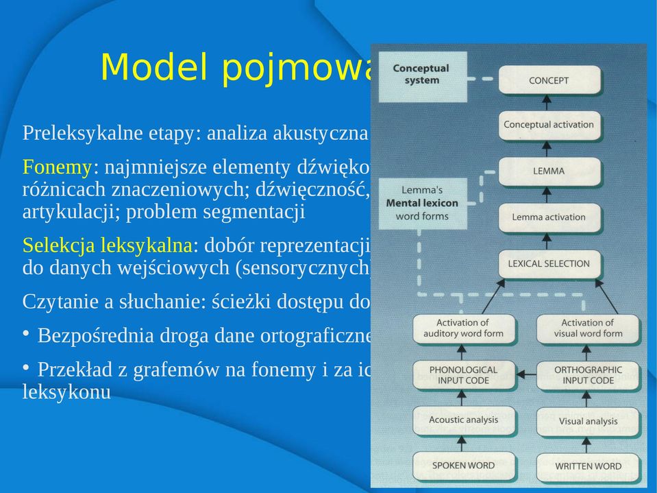 reprezentacji leksykalnej najlepiej pasującej do danych wejściowych (sensorycznych) Czytanie a słuchanie: ścieżki dostępu do