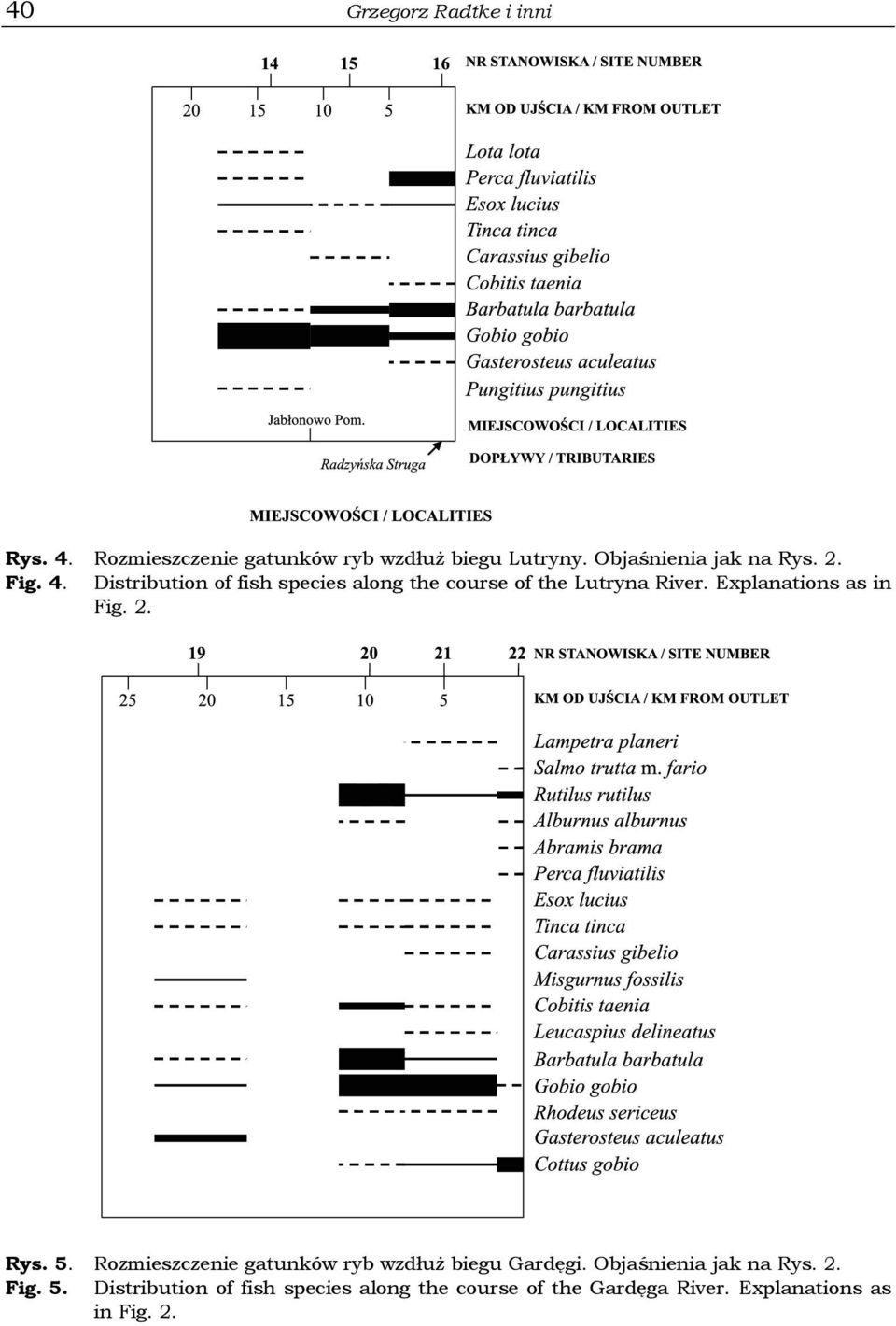 Distribution of fish species along the course of the Lutryna River. Explanations as in Fig. 2. Rys.