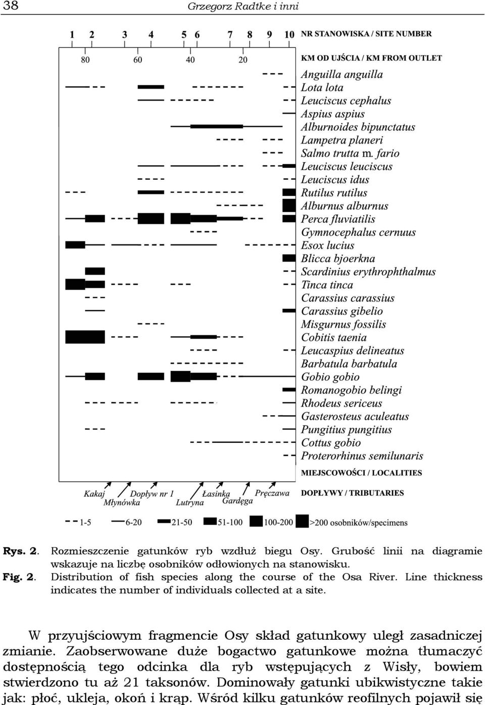 Line thickness indicates the number of individuals collected at a site. W przyujściowym fragmencie Osy skład gatunkowy uległ zasadniczej zmianie.