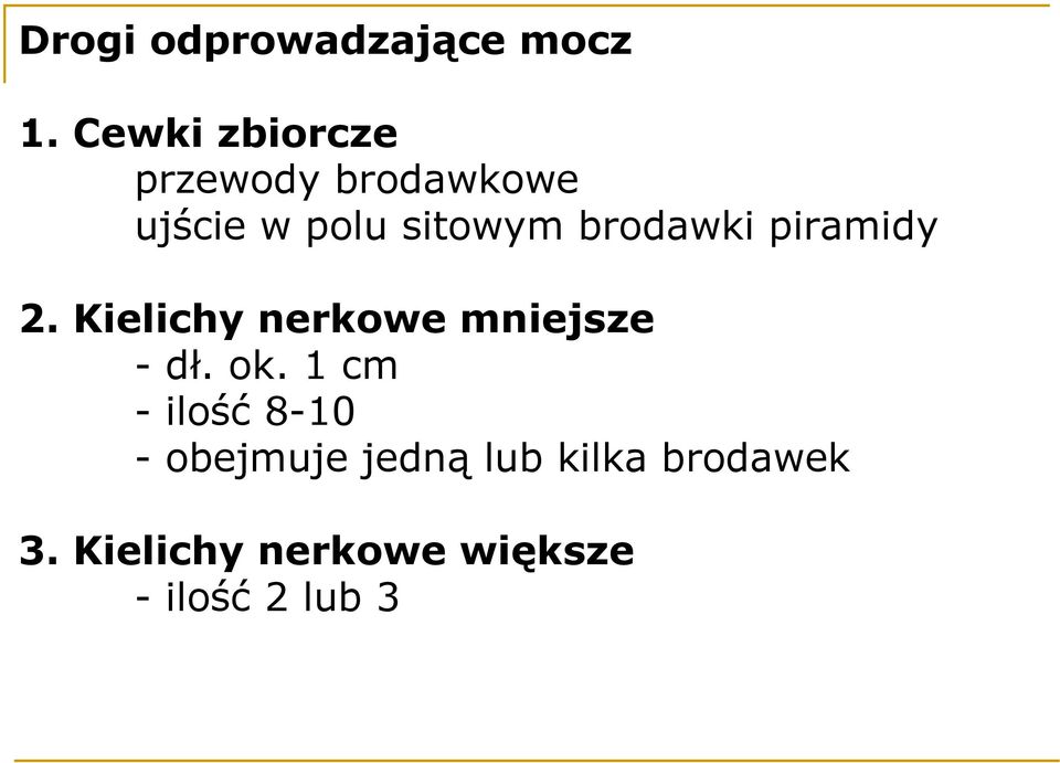 brodawki piramidy 2. Kielichy nerkowe mniejsze - dł. ok.