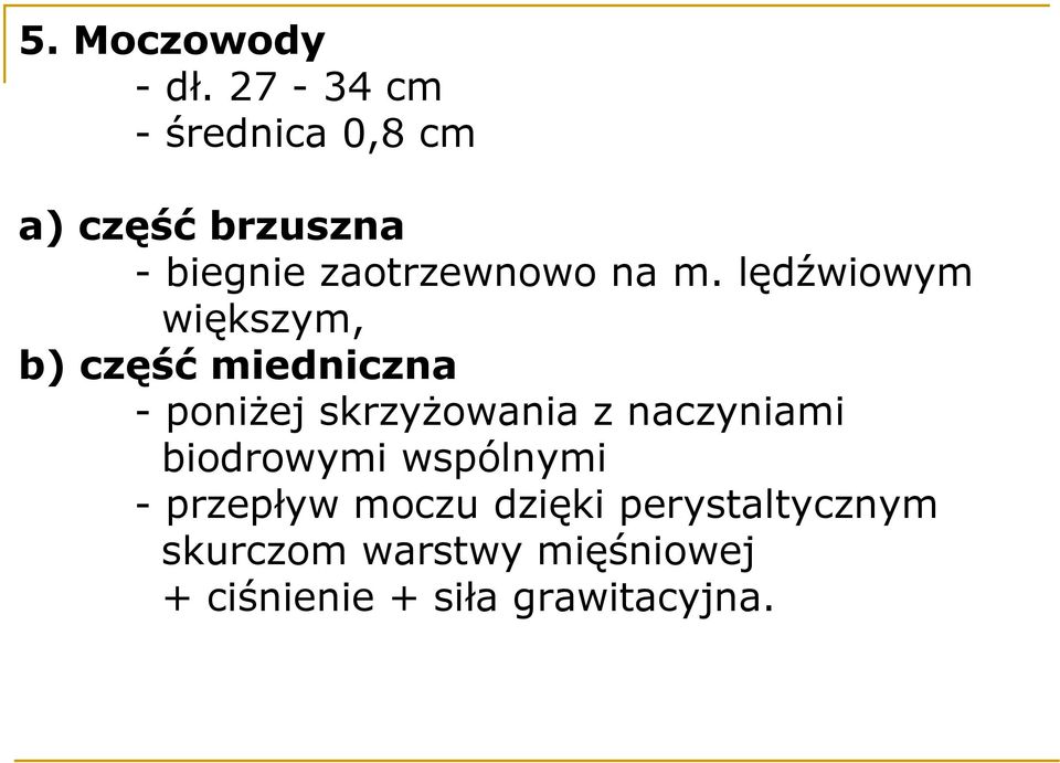 lędźwiowym większym, b) część miedniczna - poniżej skrzyżowania z