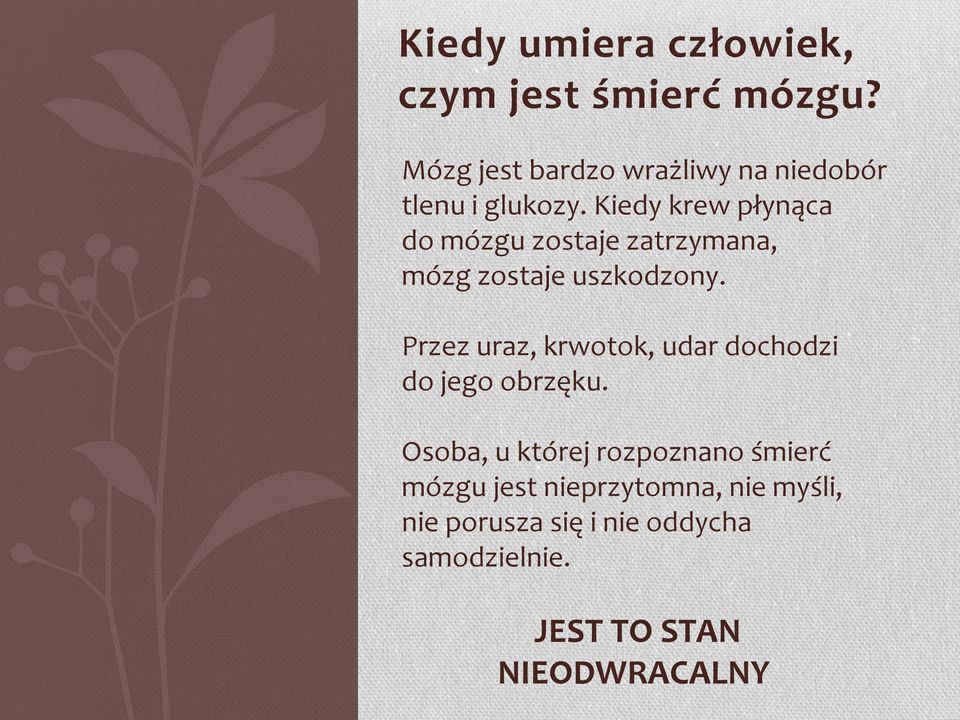 Kiedy krew płynąca do mózgu zostaje zatrzymana, mózg zostaje uszkodzony.