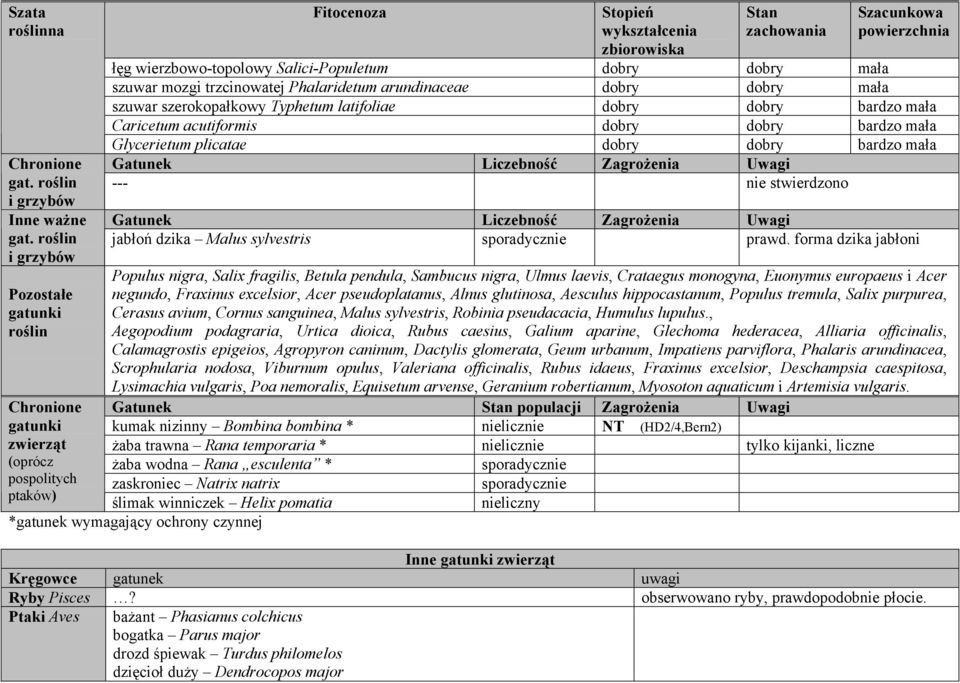 wierzbowo-topolowy Salici-Populetum dobry dobry mała szuwar mozgi trzcinowatej Phalaridetum arundinaceae dobry dobry mała szuwar szerokopałkowy Typhetum latifoliae dobry dobry bardzo mała Caricetum