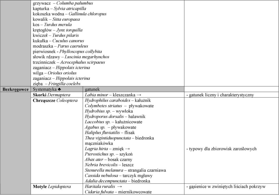 zaganiacz Hippolais icterina zięba Fringilla coelebs Bezkręgowce Systematyka gatunek Skorki Dermaptera Labia minor kleszczanka - gatunek liczny i charakterystyczny Chrząszcze Coleoptera Hydrophilus