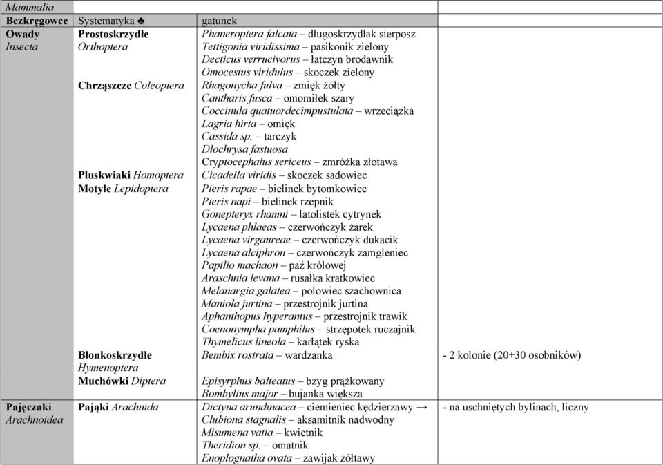 sp. tarczyk Dlochrysa fastuosa Cryptocephalus sericeus zmróżka złotawa Pajęczaki Arachnoidea Pluskwiaki Homoptera Cicadella viridis skoczek sadowiec Motyle Lepidoptera Błonkoskrzydłe Hymenoptera