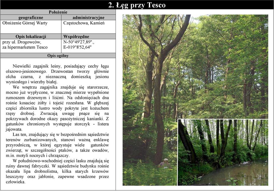 We wnętrzu zagajnika znajduje się starorzecze, mocno już wypłycone, w znacznej mierze wypełnione rumoszem drzewnym i liśćmi. Na odsłonięciach dna rośnie kosaciec żółty i tojeść rozesłana.