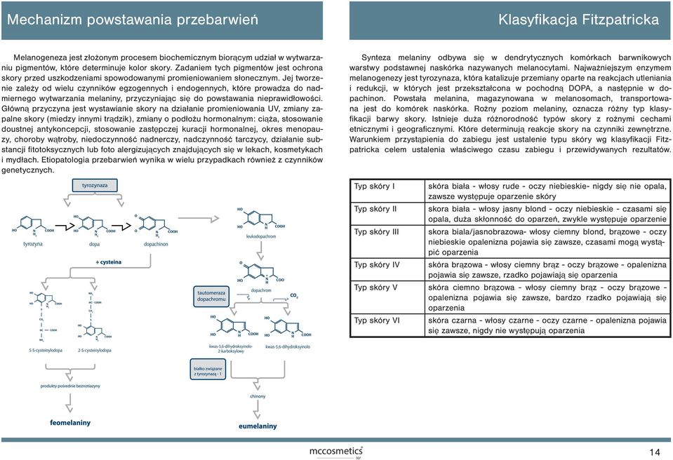 Jej tworzenie zależy od wielu czynników egzogennych i endogennych, które prowadza do nadmiernego wytwarzania melaniny, przyczyniając się do powstawania nieprawidłowości.