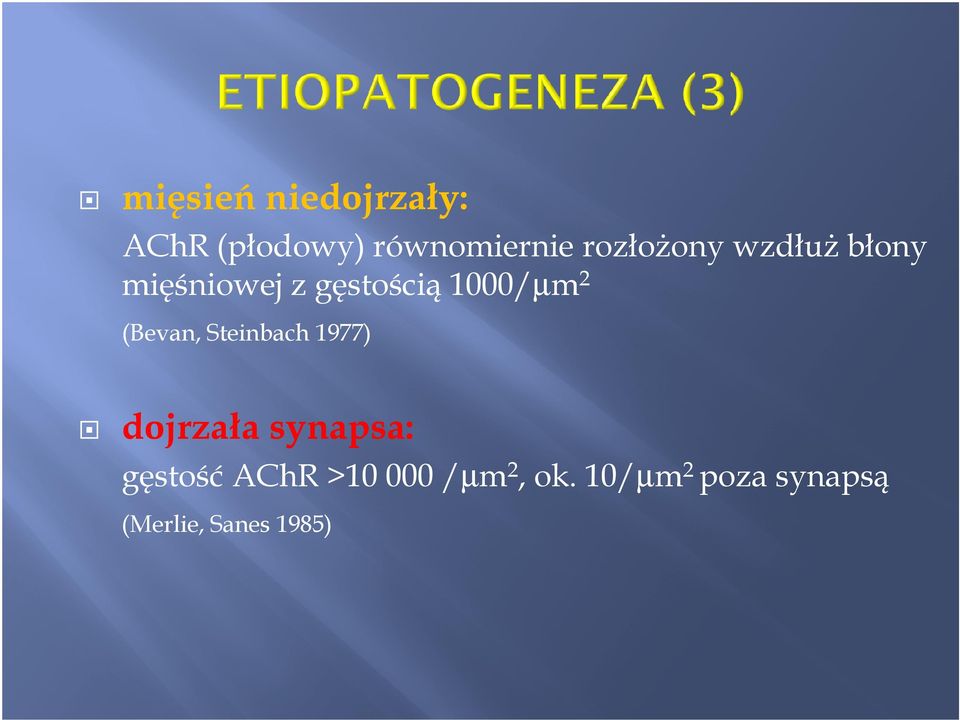 2 (Bevan, Steinbach 1977) dojrzała synapsa: gęstość