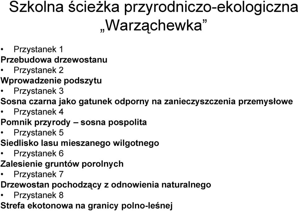 Pomnik przyrody sosna pospolita Przystanek 5 Siedlisko lasu mieszanego wilgotnego Przystanek 6 Zalesienie gruntów