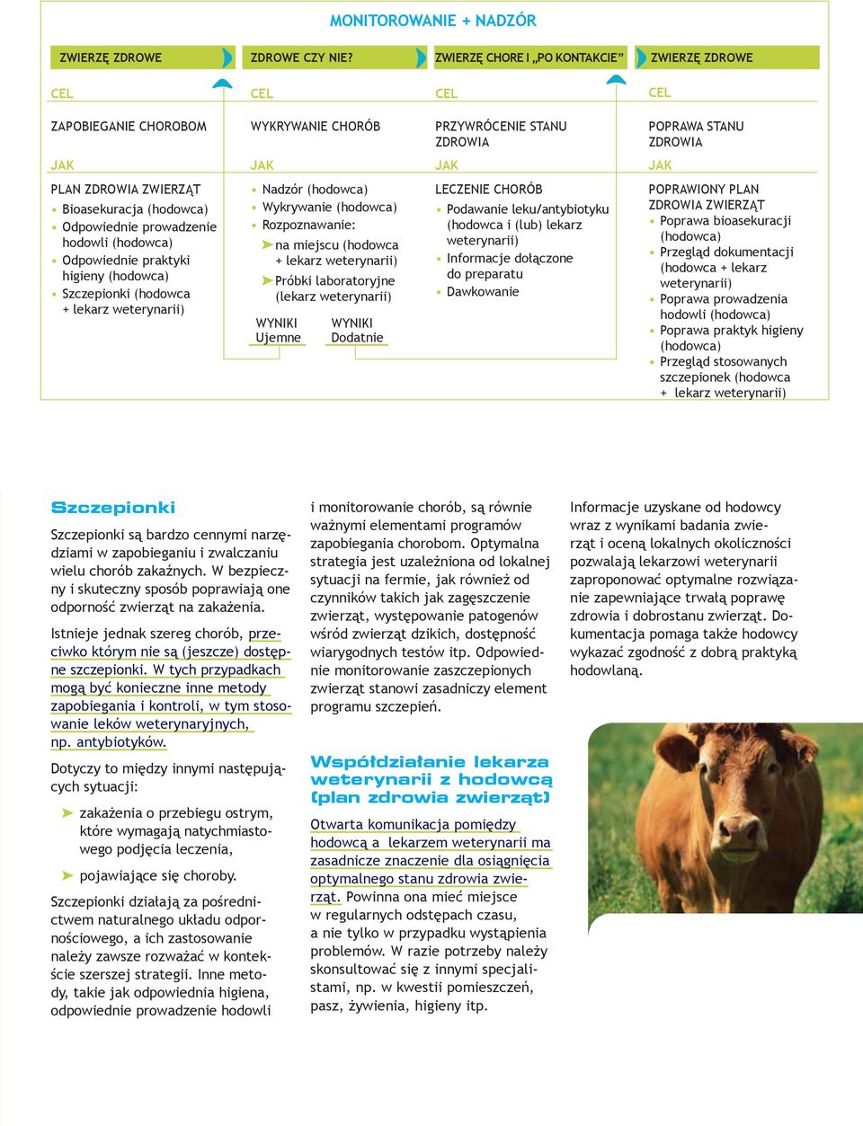Odpowiednie prowadzenie hodowli (hodowca) Odpowiednie praktyki higieny (hodowca) Szczepionki (hodowca + lekarz weterynarii) Nadzór (hodowca) Wykrywanie (hodowca) Rozpoznawanie: na miejscu (hodowca +