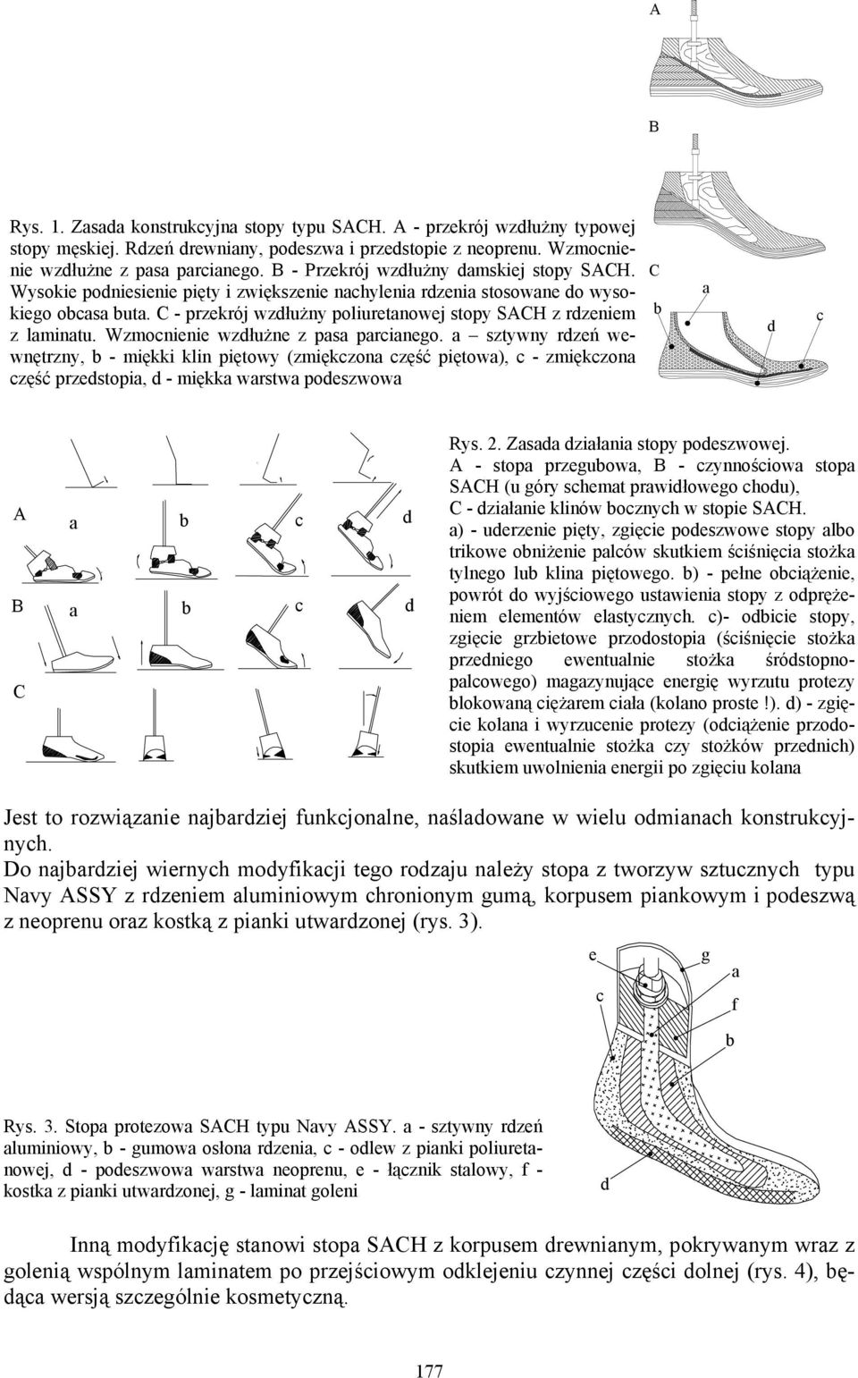 sztywny rzeń wewnętrzny, - miękki klin piętowy (zmiękzon zęść piętow), - zmiękzon zęść przestopi, - miękk wrstw poeszwow Rys. 2. Zs ziłni stopy poeszwowej.