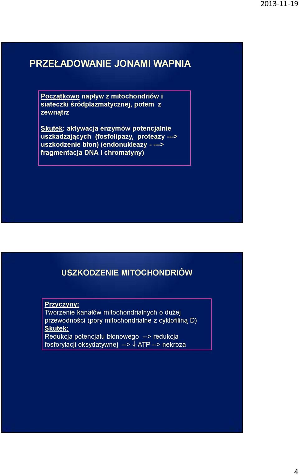 fragmentacja DNA i chromatyny) USZKODZENIE MITOCHONDRIÓW Przyczyny: Tworzenie kanałów mitochondrialnych o dużej