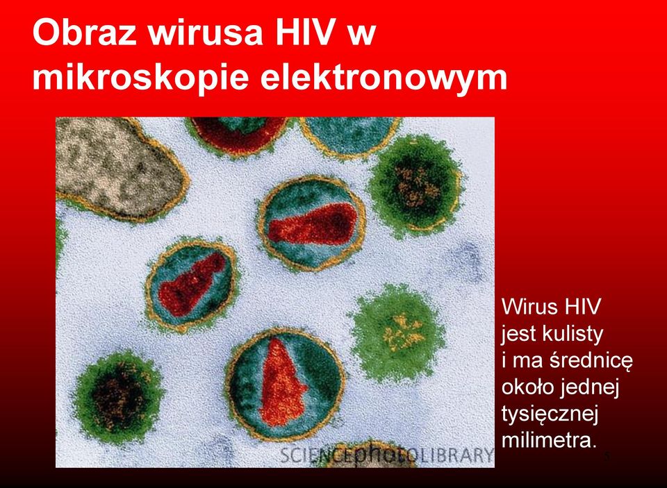 Wirus HIV jest kulisty i ma