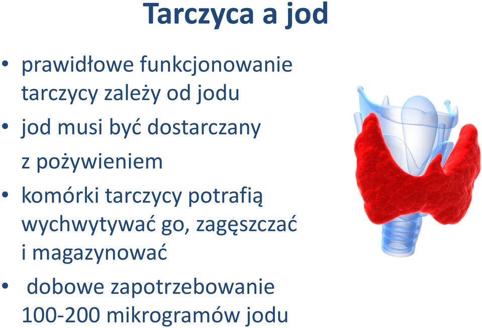 komórki tarczycy potrafią wychwytywać go, zagęszczać i