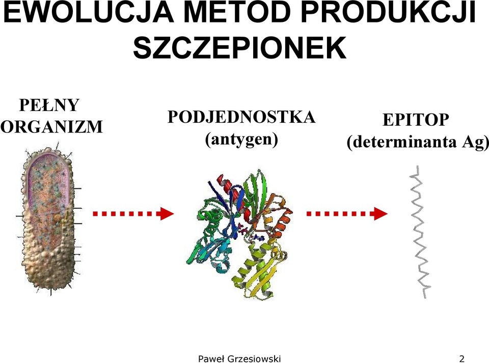 PODJEDNOSTKA (antygen) EPITOP