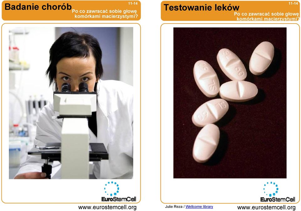 Testowanie leków Po co zawracać sobie