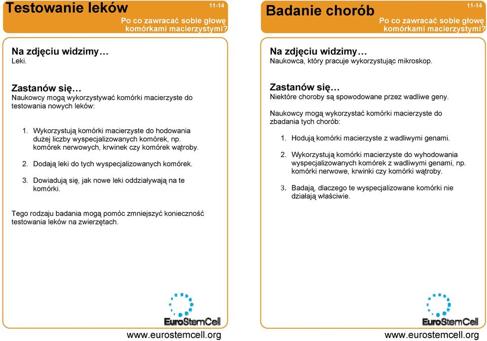 Wykorzystują komórki macierzyste do hodowania dużej liczby wyspecjalizowanych komórek, np. komórek nerwowych, krwinek czy komórek wątroby. 2. Dodają leki do tych wyspecjalizowanych komórek. 3.