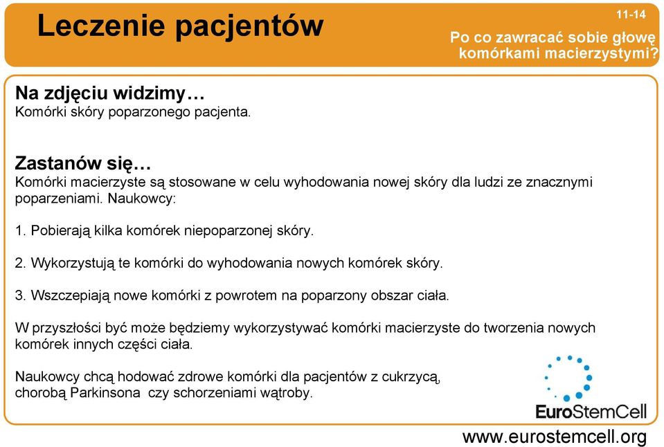 Pobierają kilka komórek niepoparzonej skóry. 2. Wykorzystują te komórki do wyhodowania nowych komórek skóry. 3.