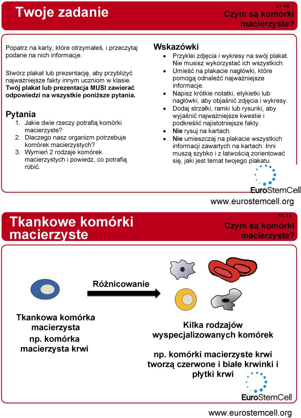 Jakie dwie rzeczy potrafią komórki macierzyste? 2. Dlaczego nasz organizm potrzebuje komórek? 3. Wymień 2 rodzaje komórek i powiedz, co potrafią robić.