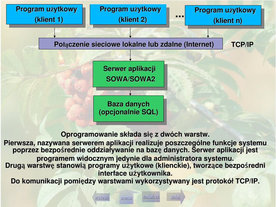 Oprogramowanie składa się z dwóch warstw.