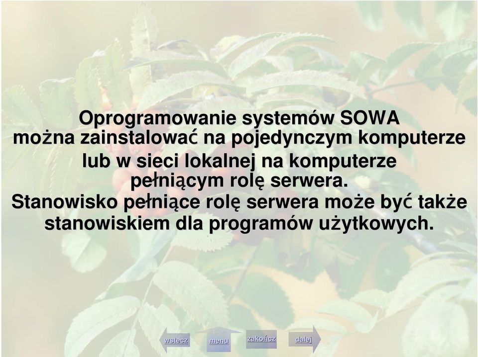 pełni niącym rolę serwera.