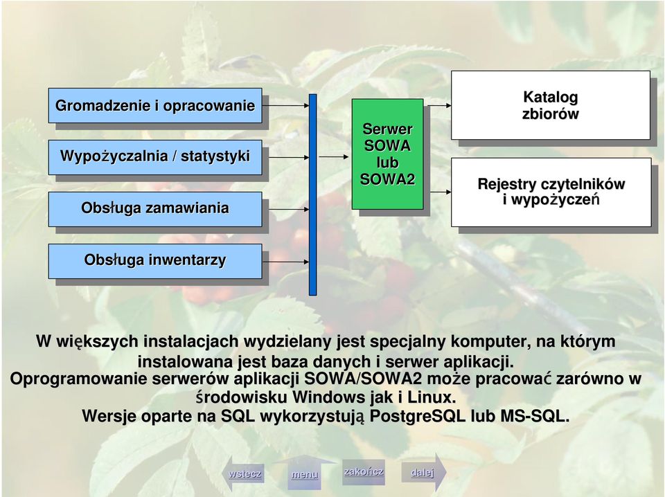 Obsługa inwentarzy inwentarzy W większych instalacjach wydzielany jest specjalny komputer, na którym instalowana jest baza danych i serwer aplikacji.