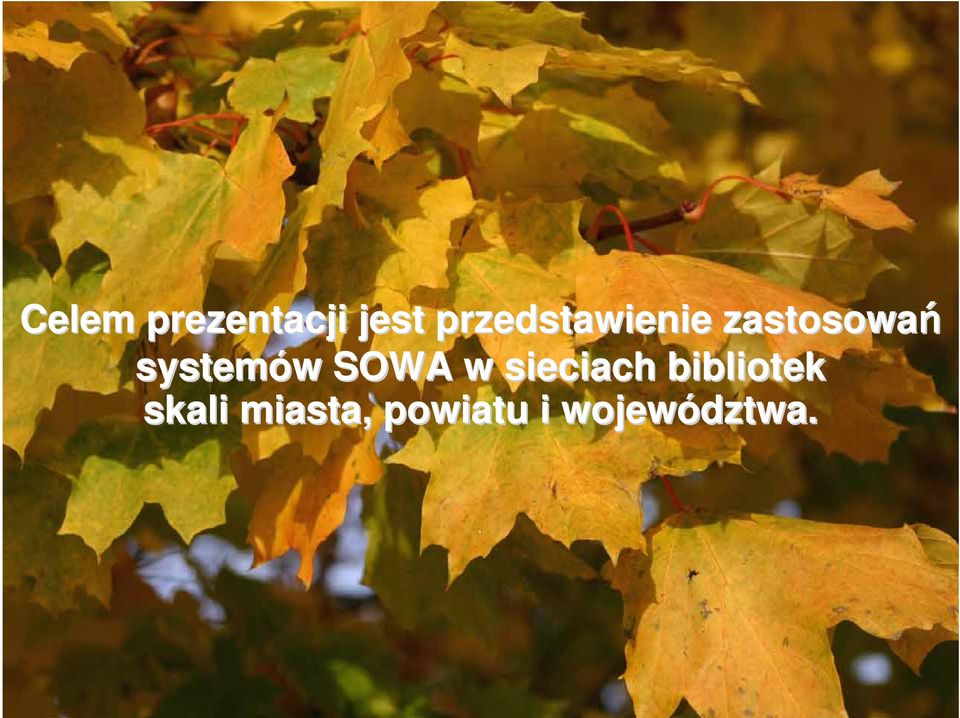 systemów w SOWA w sieciach