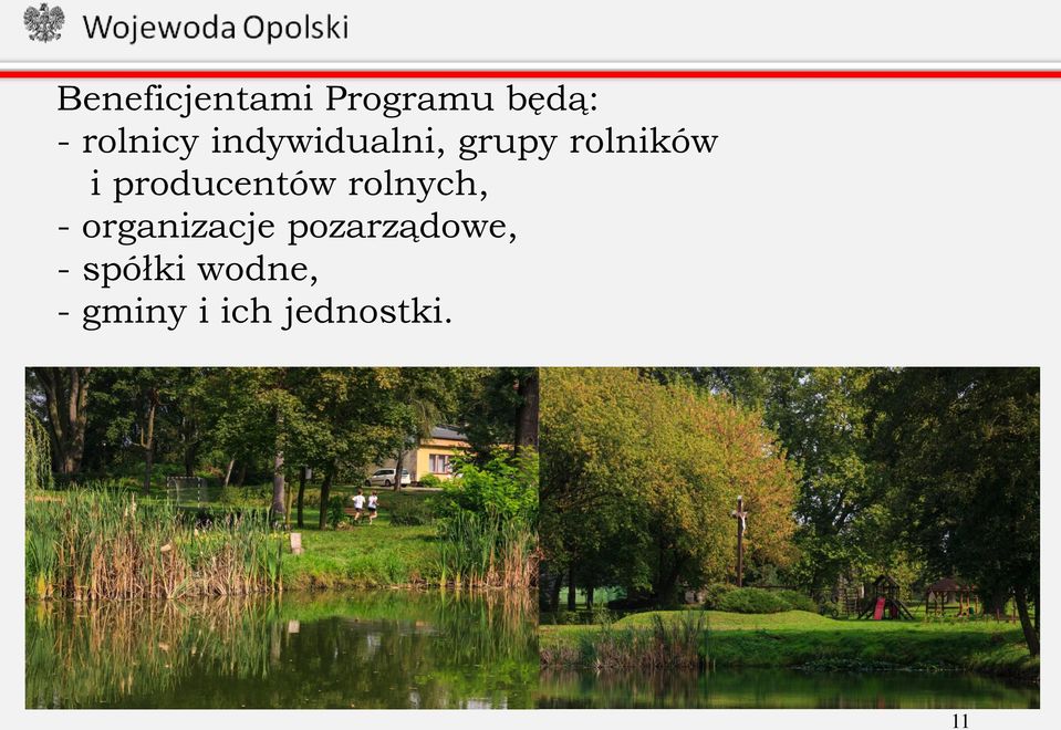producentów rolnych, - organizacje
