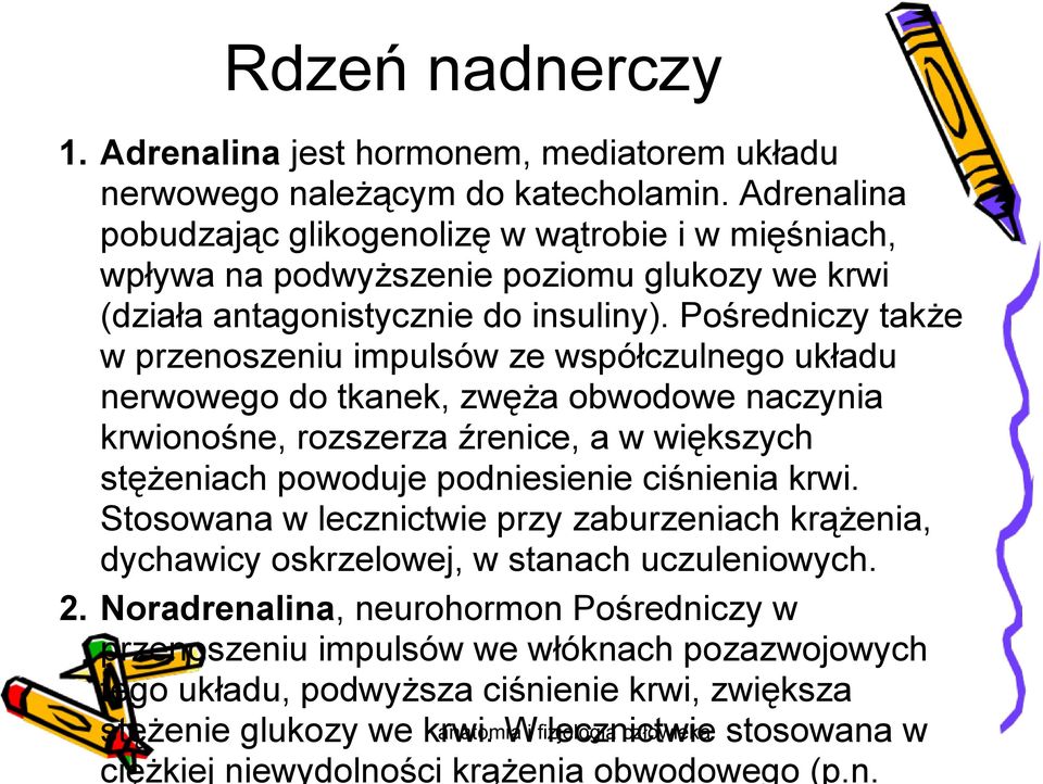 Pośredniczy także w przenoszeniu impulsów ze współczulnego układu nerwowego do tkanek, zwęża obwodowe naczynia krwionośne, rozszerza źrenice, a w większych stężeniach powoduje podniesienie ciśnienia