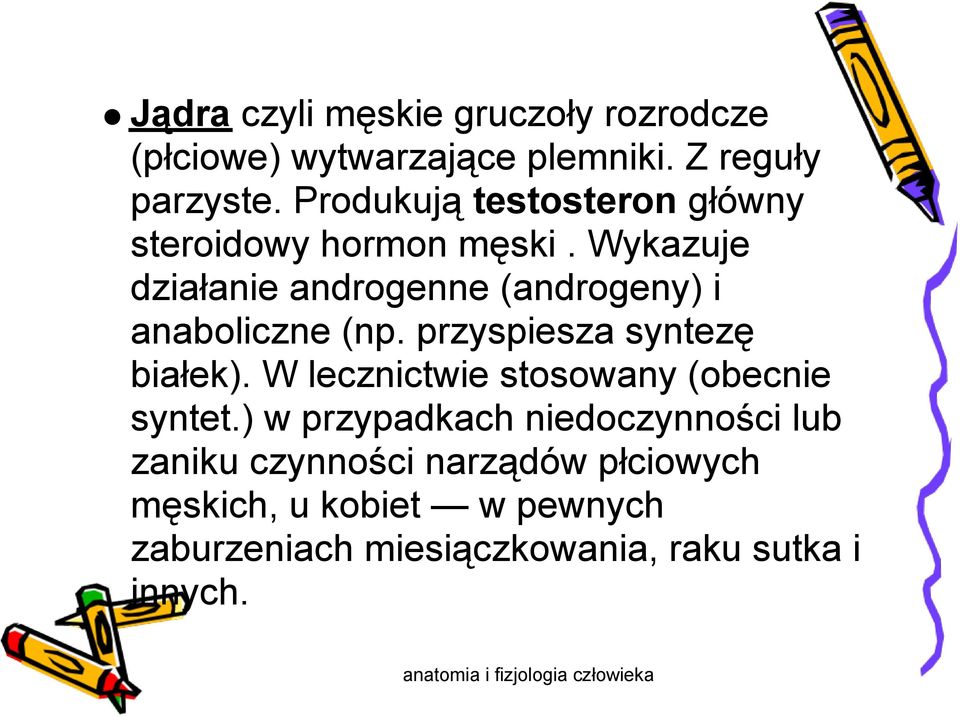 Wykazuje działanie androgenne (androgeny) i anaboliczne (np. przyspiesza syntezę białek).