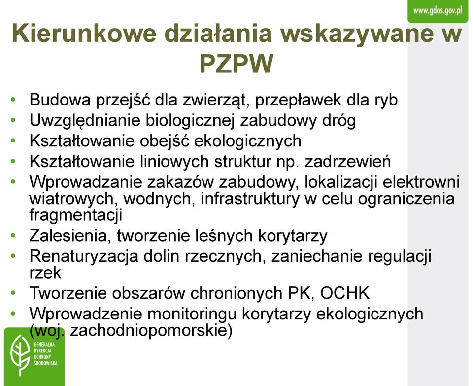 zadrzewień Wprowadzanie zakazów zabudowy, lokalizacji elektrowni wiatrowych, wodnych, infrastruktury w celu ograniczenia fragmentacji