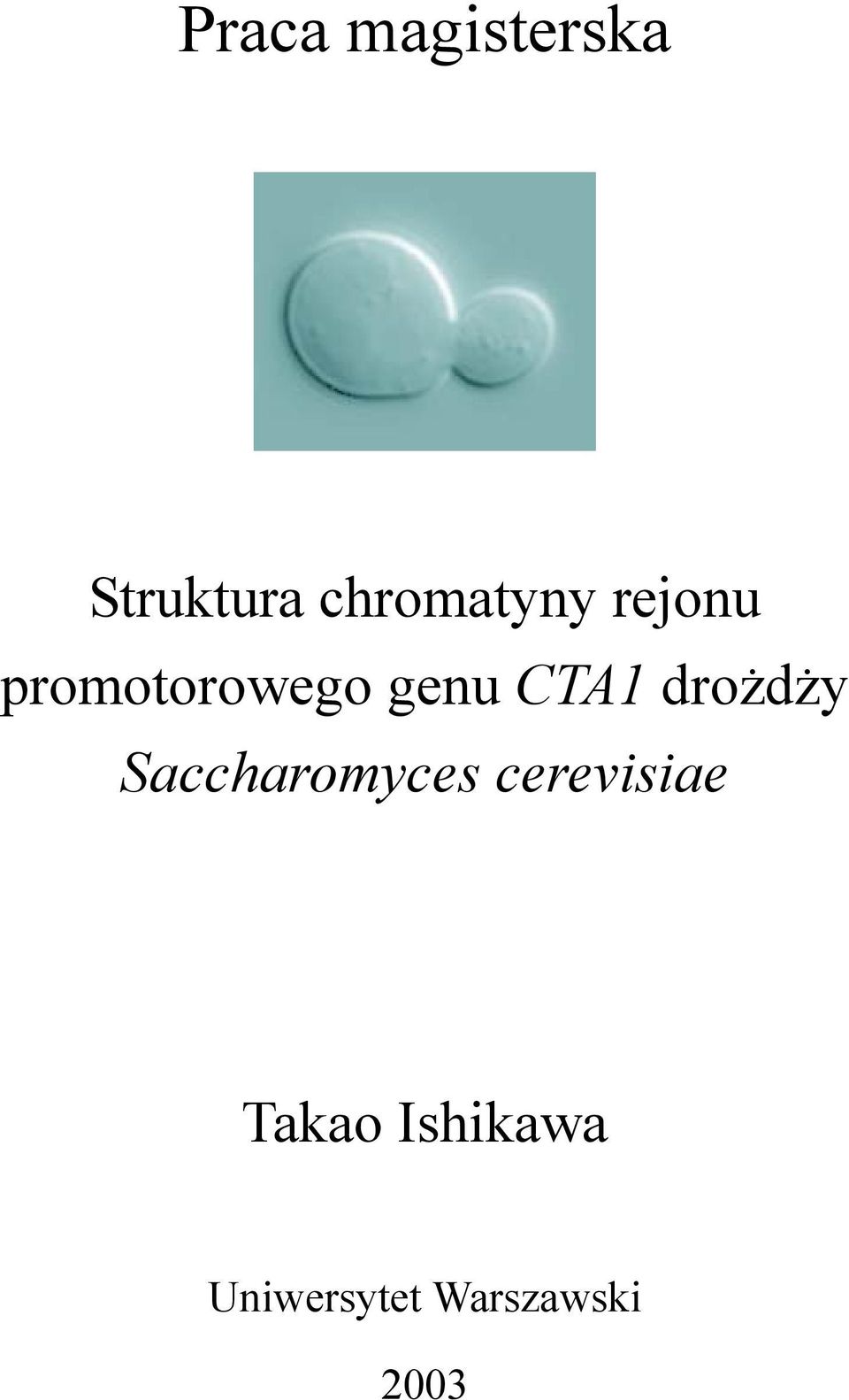 CTA1 drożdży Saccharomyces