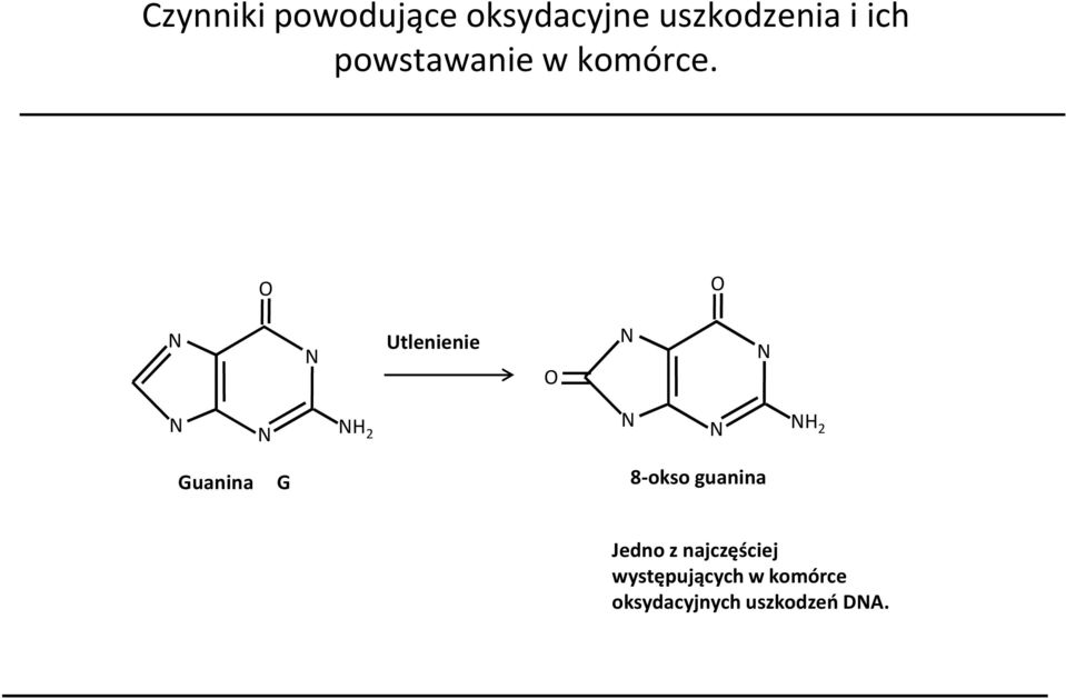 Utlenienie H 2 H 2 Guanina G 8-okso guanina