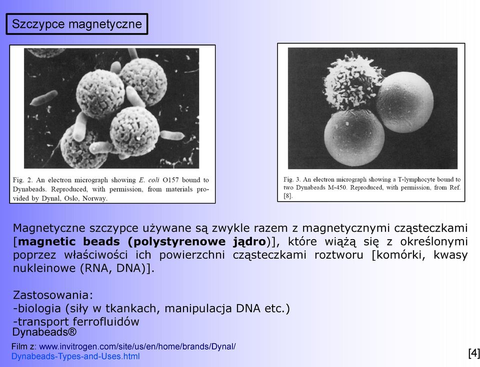 [komórki, kwasy nukleinowe (RNA, DNA)]. Zastosowania: -biologia (siły w tkankach, manipulacja DNA etc.