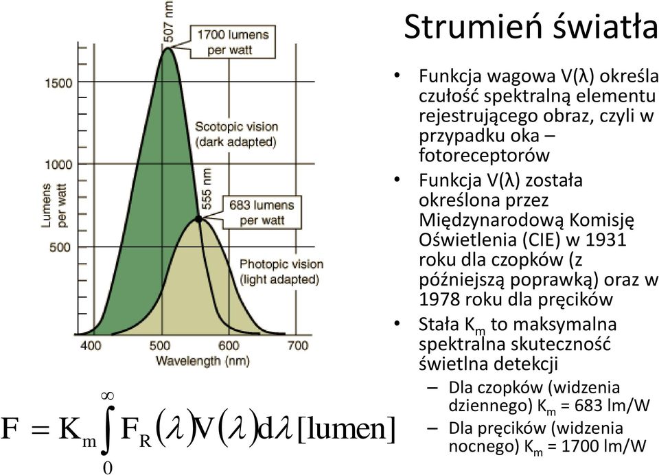 1931 roku dla czopków (z późniejszą poprawką) oraz w 1978 roku dla pręcików Stała K m to maksymalna spektralna
