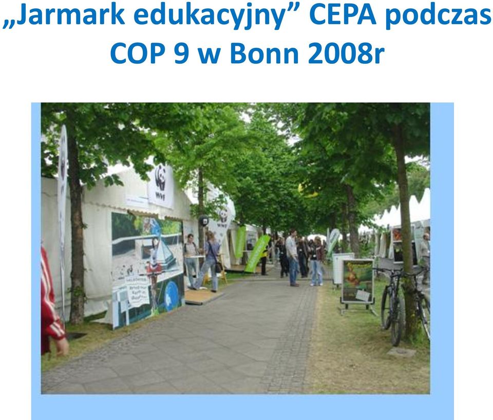 CEPA podczas