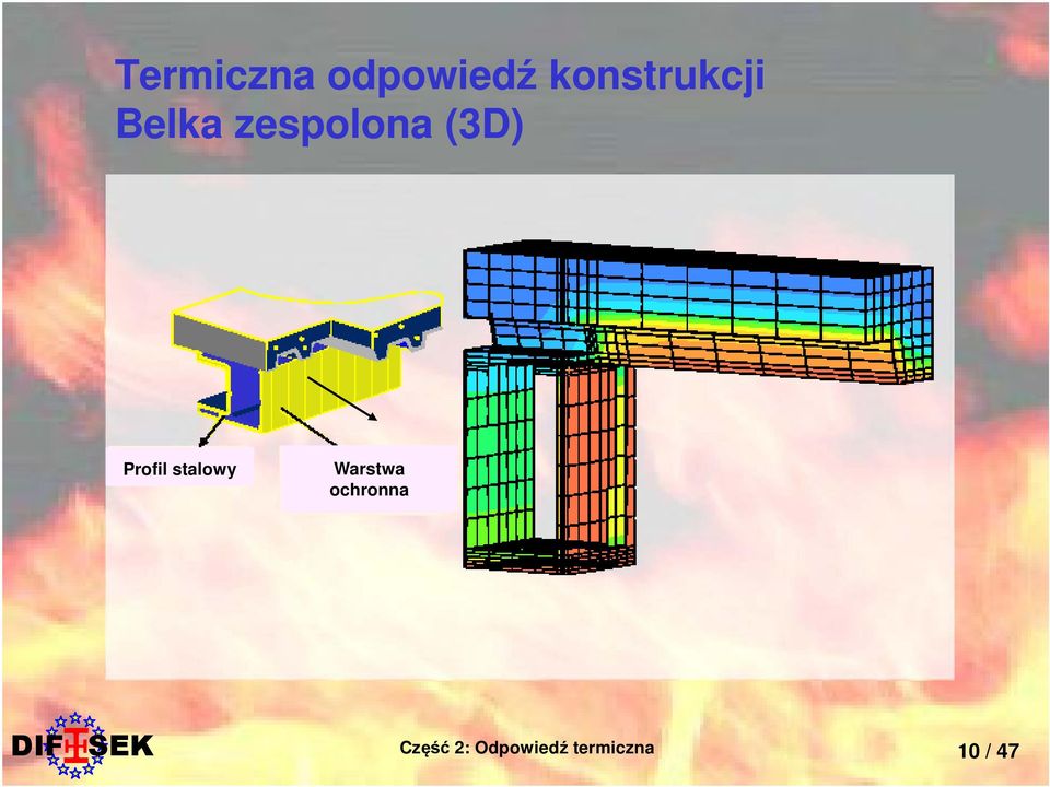 zespolona (3D) Profil