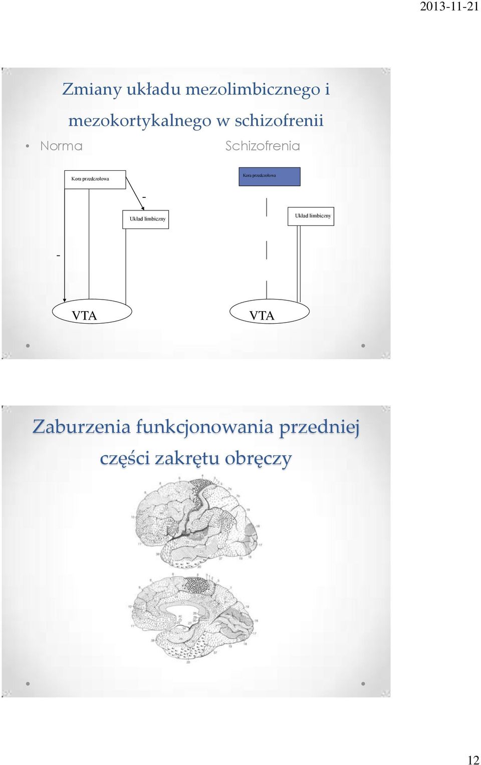 Kora przedczołowa Układ limbiczny Układ limbiczny - VTA