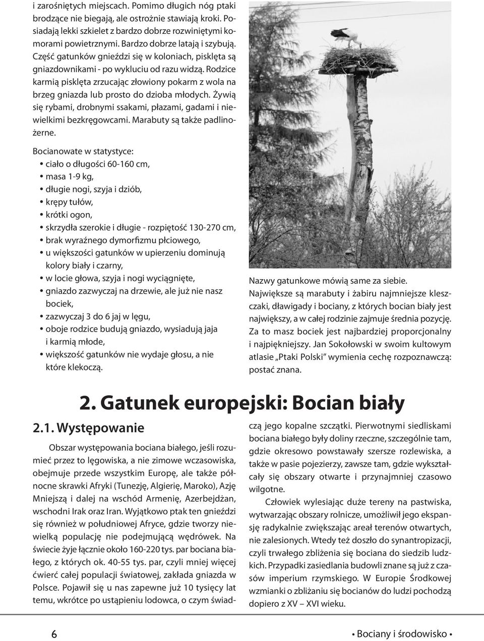 Rodzice karmią pisklęta zrzucając złowiony pokarm z wola na brzeg gniazda lub prosto do dzioba młodych. Żywią się rybami, drobnymi ssakami, płazami, gadami i niewielkimi bezkręgowcami.