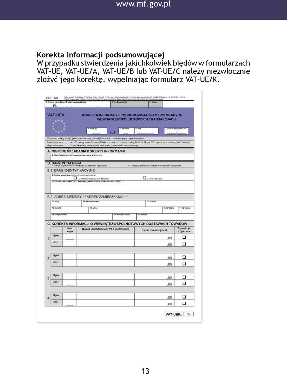 stwierdzenia jakichkolwiek błędów w formularzach VAT