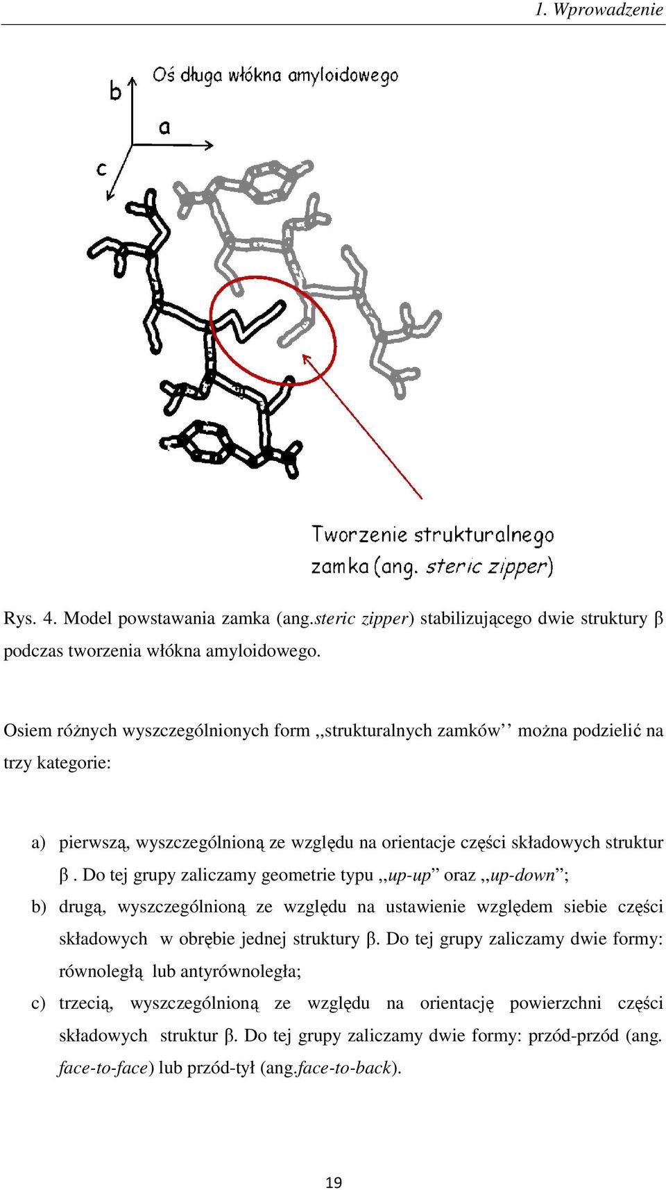 Do tej grupy zaliczamy geometrie typu,,up-up oraz,,up-down ; b) drugą, wyszczególnioną ze względu na ustawienie względem siebie części składowych w obrębie jednej struktury β.